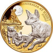 Niue 100 Dollars (Dingo) AUSTRALIA AT NIGHT DINGO coin reverse Niue 100 Dollars (Dingo) AUSTRALIA AT NIGHT DINGO coin reverse
