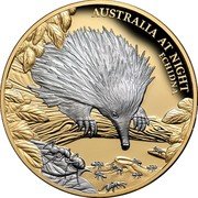 Niue 100 Dollars (Australia at night - Echidna) AUSTRALIA AT NIGHT CHIDNA coin reverse