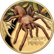 Niue 100 Dollars Deadly & Dangerous - Australia's Tarantula 2020 AUSTRALIA'S TARANTULA coin reverse