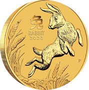 Australia 100 Dollars Year of the Rabbit 2023 P In Sets only 2023 IJ P RABBIT 兔 coin reverse Australia 100 Dollars Year of the Rabbit 2023 P In Sets only 2023 IJ P RABBIT 兔 coin reverse