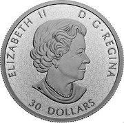 Canada 30 Dollars 100th Anniversary of the Royal Agricultural Winter Fair 2022 ELIZABETH II D G REGINA SB 30 DOLLARS coin obverse Canada 30 Dollars 100th Anniversary of the Royal Agricultural Winter Fair 2022 ELIZABETH II D G REGINA SB 30 DOLLARS coin obverse