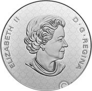 Canada 50 Cents (Coat of Arms) ELIZABETH II D G REGINA coin obverse Canada 50 Cents (Coat of Arms) ELIZABETH II D G REGINA coin obverse