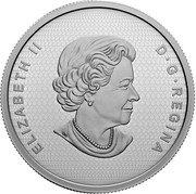 Canada 50 Dollars (Maple Leaf Collage) ELIZABETH II D G REGINA coin obverse Canada 50 Dollars (Maple Leaf Collage) ELIZABETH II D G REGINA coin obverse