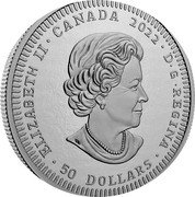 Canada 50 Dollars Relics of New France Louis XIV 2022 Proof ELIZABETH II CANADA 2022 D G REGINA 50 DOLLARS coin obverse Canada 50 Dollars Relics of New France Louis XIV 2022 Proof ELIZABETH II CANADA 2022 D G REGINA 50 DOLLARS coin obverse