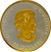 Canada 50 Dollars Santa's Sleigh Flying Around Town 2022 Proof ELIZABETH II D G REGINA 50 DOLLARS coin obverse Canada 50 Dollars Santa's Sleigh Flying Around Town 2022 Proof ELIZABETH II D G REGINA 50 DOLLARS coin obverse