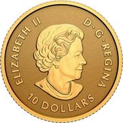 Canada 10 Dollars Maple leaf 2023 in set SB ELIZABETH II D G REGINA 10 DOLLARS coin obverse Canada 10 Dollars Maple leaf 2023 in set SB ELIZABETH II D G REGINA 10 DOLLARS coin obverse