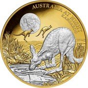 Niue 100 Dollars - Elizabeth II Kangaroo 2019  Proof AUSTRALIA AT NIGHT KANGAROO coin reverse Niue 100 Dollars - Elizabeth II Kangaroo 2019  Proof AUSTRALIA AT NIGHT KANGAROO coin reverse
