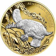 Niue 100 Dollars Platypus 2019  Proof AUSTRALIA AT NIGHT PLATYPUS coin reverse Niue 100 Dollars Platypus 2019  Proof AUSTRALIA AT NIGHT PLATYPUS coin reverse