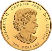 Canada 200 Dollars (Forevermark Black Label diamond - Round) ELIZABETH II D G REGINA CANADA 2020 200 DOLLARS coin obverse Canada 200 Dollars (Forevermark Black Label diamond - Round) ELIZABETH II D G REGINA CANADA 2020 200 DOLLARS coin obverse