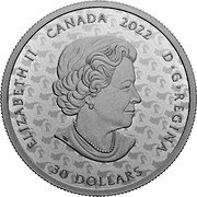 Canada 30 Dollars The Red Knight 2022 ELIZABETH II CANADA 2022 D G REGINA 30 DOLLARS coin obverse Canada 30 Dollars The Red Knight 2022 ELIZABETH II CANADA 2022 D G REGINA 30 DOLLARS coin obverse