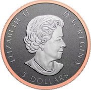 Canada 5 Dollars 35 years of the Silver Maple Leaf 2023 in set SB ELIZABETH II D G REGINA 5 DOLLARS coin obverse Canada 5 Dollars 35 years of the Silver Maple Leaf 2023 in set SB ELIZABETH II D G REGINA 5 DOLLARS coin obverse
