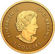 Canada 5 Dollars Maple leaf 2023 in set SB ELIZABETH II D G REGINA 5 DOLLARS coin obverse Canada 5 Dollars Maple leaf 2023 in set SB ELIZABETH II D G REGINA 5 DOLLARS coin obverse