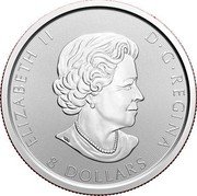 Canada 8 Dollars Bald Eagle 2020  Bullion ELIZABETH II D G REGINA 8 DOLLARS coin obverse Canada 8 Dollars Bald Eagle 2020  Bullion ELIZABETH II D G REGINA 8 DOLLARS coin obverse