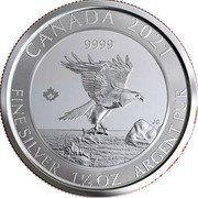 Canada 8 Dollars (Bald Eagle) CANADA 2020 9999 VM FINE SILVER 1 1/4 OZ ARGENT PUR coin reverse Canada 8 Dollars (Bald Eagle) CANADA 2020 9999 VM FINE SILVER 1 1/4 OZ ARGENT PUR coin reverse