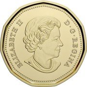 Canada Dollar (Loonie Coin) ELIZABETH II D G REGINA SB coin obverse Canada Dollar (Loonie Coin) ELIZABETH II D G REGINA SB coin obverse