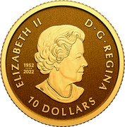 Canada 10 Dollars Lynx 2023 Frosted background SB 1952 2022 ELIZABETH II D G REGINA 10 DOLLARS coin obverse Canada 10 Dollars Lynx 2023 Frosted background SB 1952 2022 ELIZABETH II D G REGINA 10 DOLLARS coin obverse