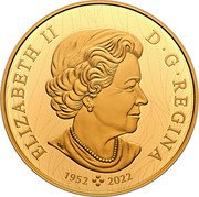 Canada 2500 Dollars Vantage Point. Bald Eagle 2023 ELIZABETH II D G REGINA SB 1952 2022 coin obverse Canada 2500 Dollars Vantage Point. Bald Eagle 2023 ELIZABETH II D G REGINA SB 1952 2022 coin obverse