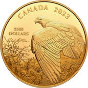 Canada 2500 Dollars Vantage Point. Bald Eagle 2023 2500 DOLLARS CANADA 2023 ROBERT BATEMAN coin reverse Canada 2500 Dollars Vantage Point. Bald Eagle 2023 2500 DOLLARS CANADA 2023 ROBERT BATEMAN coin reverse