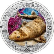 Austria 3 Euro (Swell Shark) SCHWELLENHAI 2023 coin reverse Austria 3 Euro (Swell Shark) SCHWELLENHAI 2023 coin reverse