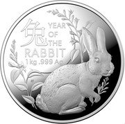 Australia 30 Dollars Year of the Rabbit 兔 2023 YEAR OF THE RABBIT 1 KG .999 AG coin reverse Australia 30 Dollars Year of the Rabbit 兔 2023 YEAR OF THE RABBIT 1 KG .999 AG coin reverse