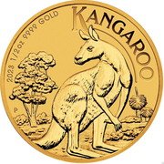 Australia 50 Dollars (Australian Kangaroo) P KANGAROO 2023 1/2 OZ 9999 GOLD coin reverse