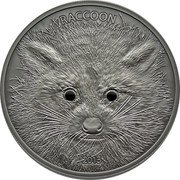 Vanuatu 20 Vatu Raccoon 2013 Proof, Antique patina KM# 89 RACCOON 2013 coin reverse Vanuatu 20 Vatu Raccoon 2013 Proof, Antique patina KM# 89 RACCOON 2013 coin reverse
