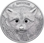Vanuatu 50 Vatu Raccoon 2013 Proof KM# 90 RACCOON 2013 coin reverse
