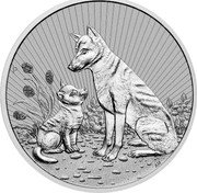 Australia 10 Dollars Dingo - Piedfort 2022 P P AH coin reverse Australia 10 Dollars Dingo - Piedfort 2022 P P AH coin reverse
