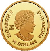 Canada 10 Dollars (The Curious Marten) ELIZABETH II D G REGINA 10 DOLLARS 1952 2022 coin obverse Canada 10 Dollars (The Curious Marten) ELIZABETH II D G REGINA 10 DOLLARS 1952 2022 coin obverse
