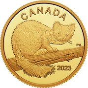 Canada 10 Dollars (The Curious Marten) CANADA 2023 PG coin reverse Canada 10 Dollars (The Curious Marten) CANADA 2023 PG coin reverse