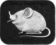 Samoa 2 Dollars (Round-Eared Sengi - Yang. Black Proof) ROUND-EARED SENGI 2021 coin reverse Samoa 2 Dollars (Round-Eared Sengi - Yang. Black Proof) ROUND-EARED SENGI 2021 coin reverse