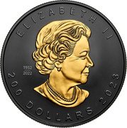 Canada 200 Dollars (Super Incuse Maple Leaf. Black Rhodium) ELIZABETH II 200 DOLLARS 2023 SB 1952 2022 coin obverse Canada 200 Dollars (Super Incuse Maple Leaf. Black Rhodium) ELIZABETH II 200 DOLLARS 2023 SB 1952 2022 coin obverse