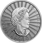 Canada 5 Dollars (The Majestic Polar Bear) SB ELIZABETH II D G REGINA 5 DOLLARS coin obverse Canada 5 Dollars (The Majestic Polar Bear) SB ELIZABETH II D G REGINA 5 DOLLARS coin obverse