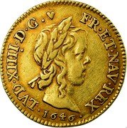 France 1/2 Louis D'or Louis XIV 1646 A KM# 156.1 LVD XIIII D G FR ET NAV REX 1646 coin obverse France 1/2 Louis D'or Louis XIV 1646 A KM# 156.1 LVD XIIII D G FR ET NAV REX 1646 coin obverse