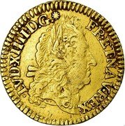 France 1/2 Louis D'or Louis XIV 1691 Numeral 9 KM# 277.17 LVD XIIII D G FR ET NAV REX coin obverse