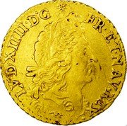 France 1/2 Louis D'or Louis XIV 1692 D KM# 277.3 LVD XIIII D G FR ET NAV REX coin obverse France 1/2 Louis D'or Louis XIV 1692 D KM# 277.3 LVD XIIII D G FR ET NAV REX coin obverse