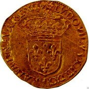 France ECU D’or Louis XIV 1644 & KM# 146.14 LVDOVICVS XIIII D G FRAN ET NAVA REX coin obverse France ECU D’or Louis XIV 1644 & KM# 146.14 LVDOVICVS XIIII D G FRAN ET NAVA REX coin obverse
