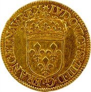 France ECU D’or Louis XIV 1645 D KM# 146.5 LVDOVICVS XIIII D G FRANC ET NAV REX coin obverse France ECU D’or Louis XIV 1645 D KM# 146.5 LVDOVICVS XIIII D G FRANC ET NAV REX coin obverse