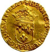 France ECU D’or (Henry IV) KM# 10.5 HENRICVS IIII D G FRANC ET NAVA REX coin obverse France ECU D’or (Henry IV) KM# 10.5 HENRICVS IIII D G FRANC ET NAVA REX coin obverse
