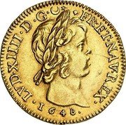 France 2 Louis D'or Louis XIV 1648 D KM# 150.2 LVD XIIII D G FR ET NAV REX 1648 coin obverse France 2 Louis D'or Louis XIV 1648 D KM# 150.2 LVD XIIII D G FR ET NAV REX 1648 coin obverse