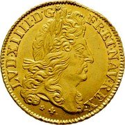 France 2 Louis D'or Louis XIV 1691 M KM# 280.9 LVD XIIII D G FR ET NAV REX coin obverse France 2 Louis D'or Louis XIV 1691 M KM# 280.9 LVD XIIII D G FR ET NAV REX coin obverse