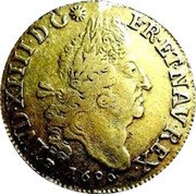 France 2 Louis D'or Louis XIV 1696 M KM# 303.14 LVD XIIII D G FR ET NAV REX 1696 coin obverse France 2 Louis D'or Louis XIV 1696 M KM# 303.14 LVD XIIII D G FR ET NAV REX 1696 coin obverse