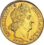 France 2 Louis D'or Louis XIV 1700 A KM# 335.1 LVD XIIII D G FR ET NAV REX 1702 coin obverse France 2 Louis D'or Louis XIV 1700 A KM# 335.1 LVD XIIII D G FR ET NAV REX 1702 coin obverse