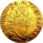 France 2 Louis D'or Louis XIV 1700 D KM# 303.6 LVD XIIII D G FR ET NAV REX 1695 coin obverse France 2 Louis D'or Louis XIV 1700 D KM# 303.6 LVD XIIII D G FR ET NAV REX 1695 coin obverse