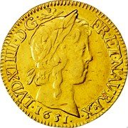 France Louis D'or Louis XIV 1651 Q KM# 157.16 LVD XIIII D G FR ET NAV REX 1651 coin obverse France Louis D'or Louis XIV 1651 Q KM# 157.16 LVD XIIII D G FR ET NAV REX 1651 coin obverse