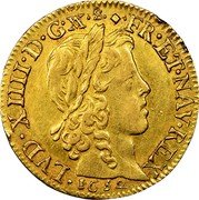 France Louis D'or Louis XIV 1652 D KM# 157.5 LVD XIIII D G FR ET NAV REX 1632 coin obverse France Louis D'or Louis XIV 1652 D KM# 157.5 LVD XIIII D G FR ET NAV REX 1632 coin obverse