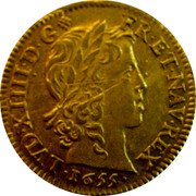 France Louis D'or Louis XIV 1655 A KM# 157.1 LVD XIIII D G FR ET NAV REX1655 coin obverse France Louis D'or Louis XIV 1655 A KM# 157.1 LVD XIIII D G FR ET NAV REX1655 coin obverse