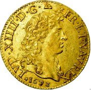 France Louis D'or Louis XIV 1672 D KM# 219.3 LVD. XIIII. D. G. FR. ET. NAV. REX. 1672 coin obverse France Louis D'or Louis XIV 1672 D KM# 219.3 LVD. XIIII. D. G. FR. ET. NAV. REX. 1672 coin obverse