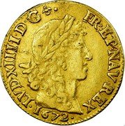 France Louis D'or Louis XIV 1672 L KM# 200.6 LVD XIII D D FR ET NAV REX 1672 coin obverse France Louis D'or Louis XIV 1672 L KM# 200.6 LVD XIII D D FR ET NAV REX 1672 coin obverse