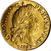 France Louis D'or Louis XIV 1685 D KM# 256.2 LVD XIIII D G FR ET NAV REX 1685 coin obverse France Louis D'or Louis XIV 1685 D KM# 256.2 LVD XIIII D G FR ET NAV REX 1685 coin obverse